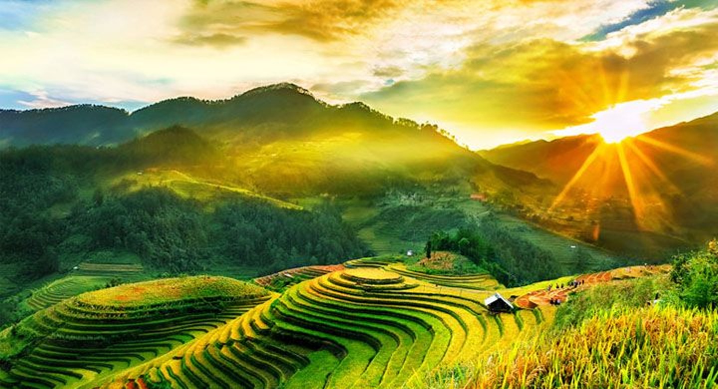 Ruộng bậc thang Tây Bắc trong ánh nắng bình minh